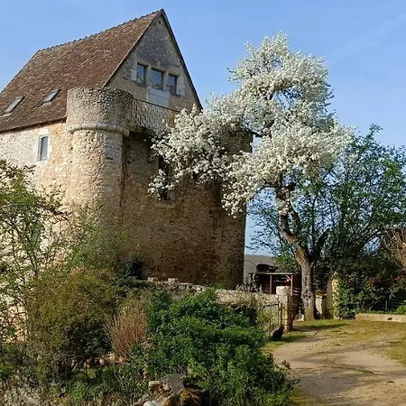 Montenaut Angles-sur-lʼAnglin