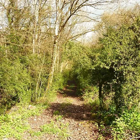 Bed and Breakfast Montenaut Angles-sur-lʼAnglin