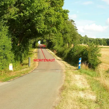 Montenaut
