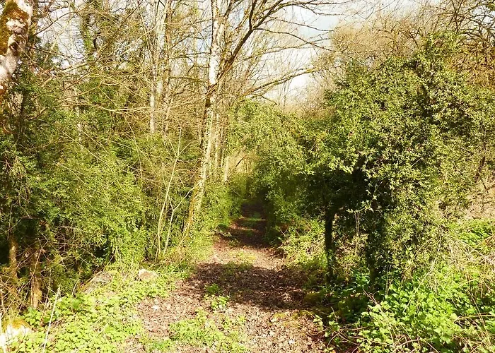 Alojamento de Acomodação e Pequeno-almoço Montenaut Angles-sur-lʼAnglin