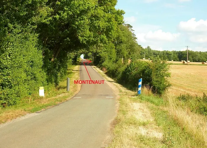 Montenaut
